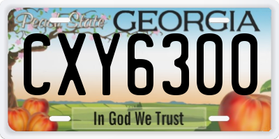 GA license plate CXY6300