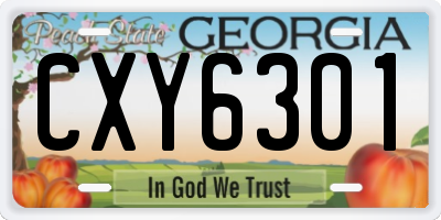 GA license plate CXY6301