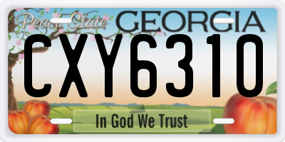 GA license plate CXY6310