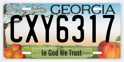 GA license plate CXY6317