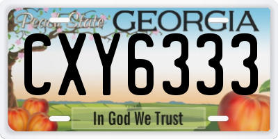 GA license plate CXY6333