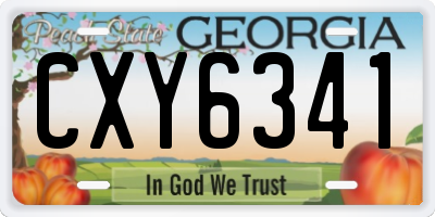 GA license plate CXY6341