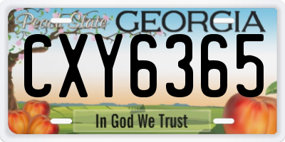 GA license plate CXY6365