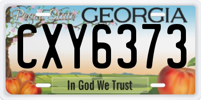 GA license plate CXY6373
