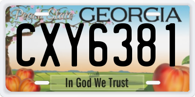 GA license plate CXY6381