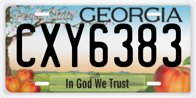 GA license plate CXY6383