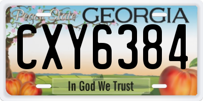 GA license plate CXY6384