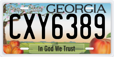 GA license plate CXY6389