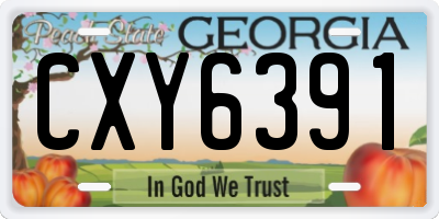 GA license plate CXY6391
