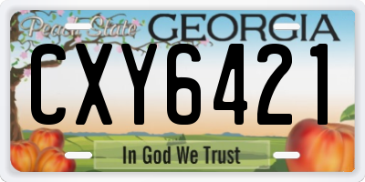 GA license plate CXY6421