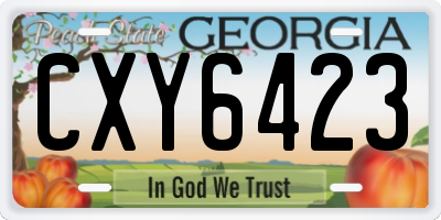 GA license plate CXY6423