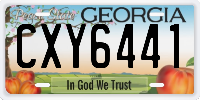 GA license plate CXY6441