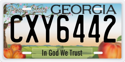 GA license plate CXY6442