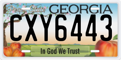 GA license plate CXY6443