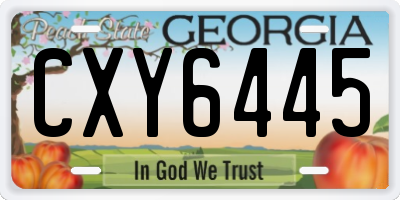 GA license plate CXY6445