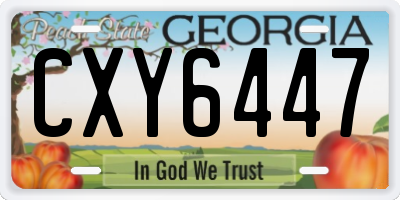 GA license plate CXY6447
