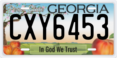 GA license plate CXY6453