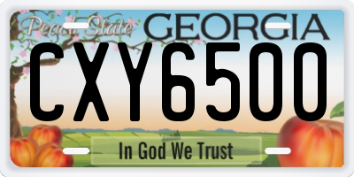 GA license plate CXY6500