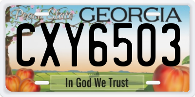 GA license plate CXY6503