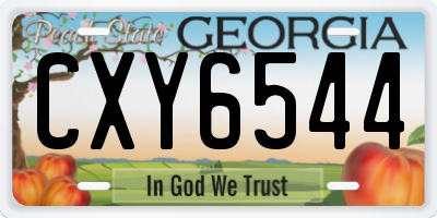 GA license plate CXY6544