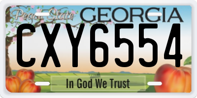 GA license plate CXY6554