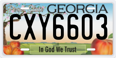 GA license plate CXY6603