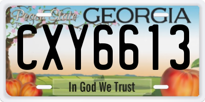 GA license plate CXY6613