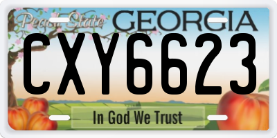GA license plate CXY6623