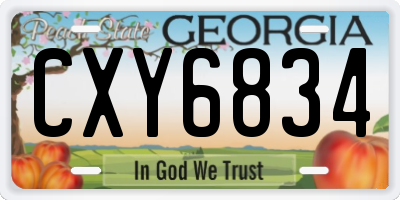 GA license plate CXY6834