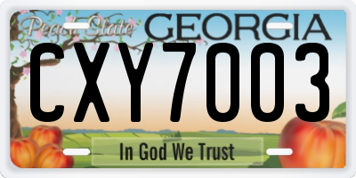 GA license plate CXY7003