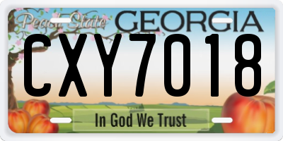GA license plate CXY7018