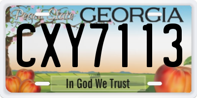 GA license plate CXY7113