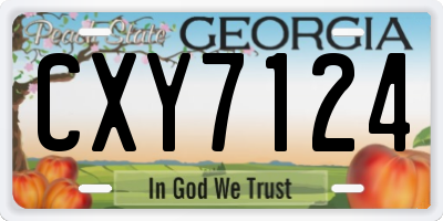GA license plate CXY7124
