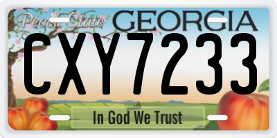 GA license plate CXY7233