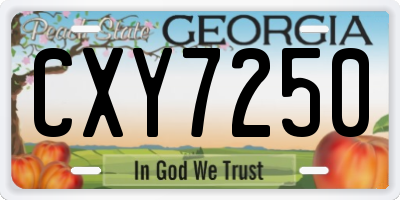 GA license plate CXY7250