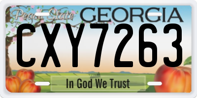 GA license plate CXY7263