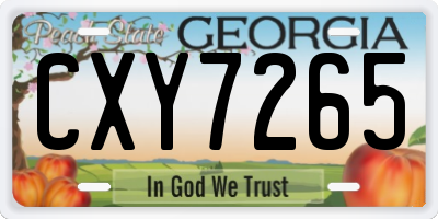 GA license plate CXY7265