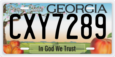 GA license plate CXY7289