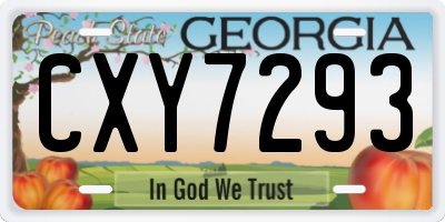 GA license plate CXY7293