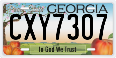 GA license plate CXY7307