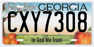 GA license plate CXY7308