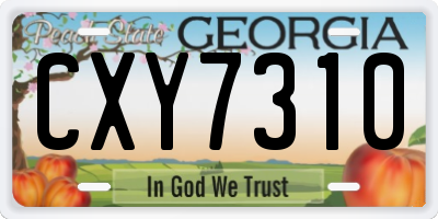GA license plate CXY7310