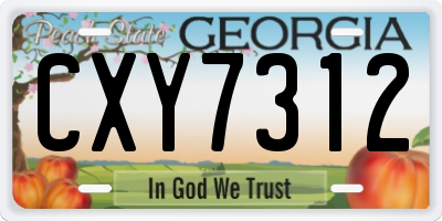 GA license plate CXY7312