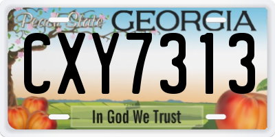 GA license plate CXY7313