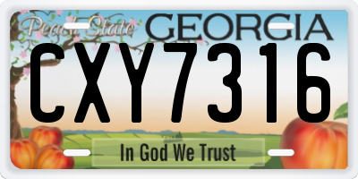 GA license plate CXY7316