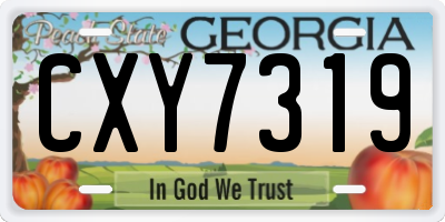 GA license plate CXY7319