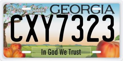 GA license plate CXY7323