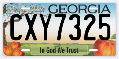 GA license plate CXY7325