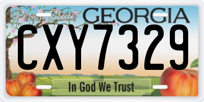 GA license plate CXY7329