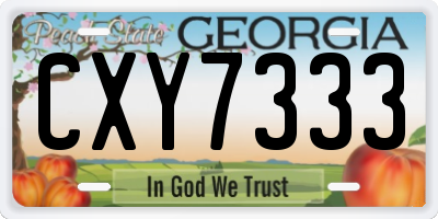 GA license plate CXY7333